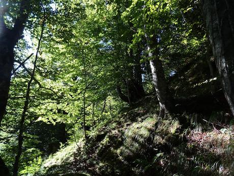 Ricao-La Mortera´l Teixu-Navachos-La Veiga´l Muñón-El Cuadrazal
