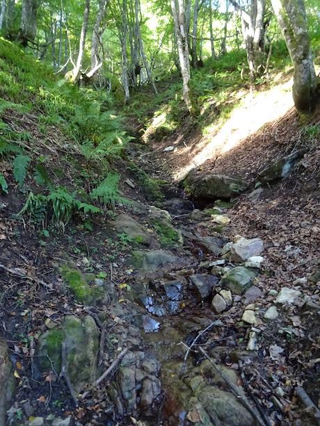 Ricao-La Mortera´l Teixu-Navachos-La Veiga´l Muñón-El Cuadrazal