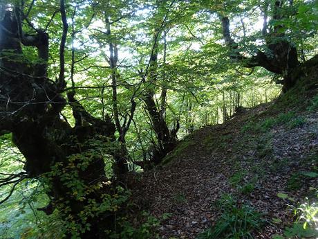 Ricao-La Mortera´l Teixu-Navachos-La Veiga´l Muñón-El Cuadrazal