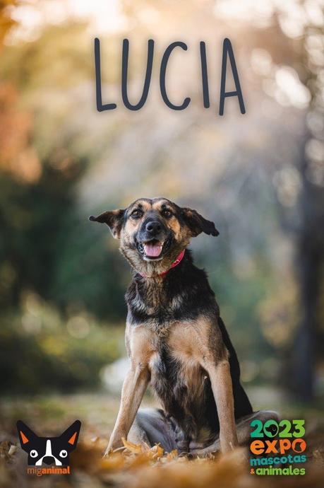 Lucia3