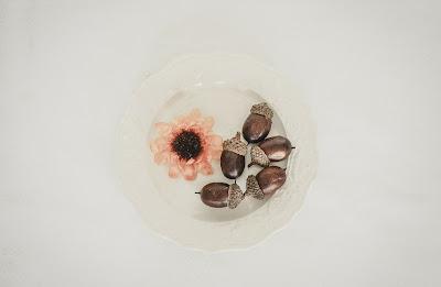 Bellotas junto a una flor