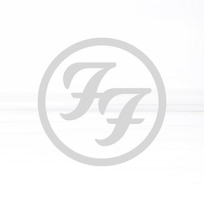 Foo Fighters - Rescued (2023)