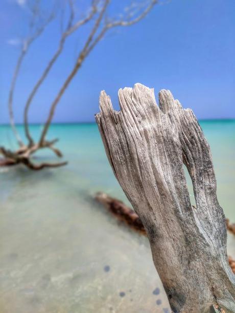 Viñales, valles y mogotes