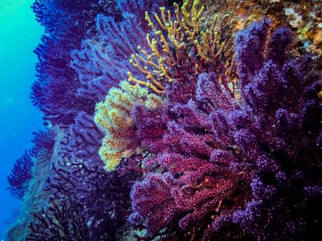 Riviera italiana: las 10 playas más bellas de Liguria Monterosso al Mare