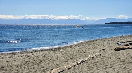 La playa de la laguna de Esquimalt