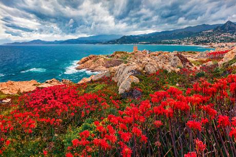 Cerdeña o Córcega: cómo nominar entre las dos Cerdeña Córcega