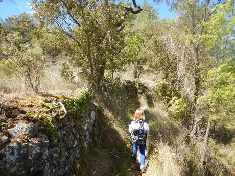 Cova i salt de l'Argany | Capafonts (Tarragona)