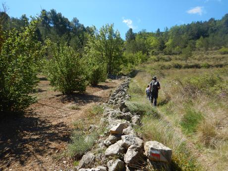 Cova i salt de l'Argany | Capafonts (Tarragona)