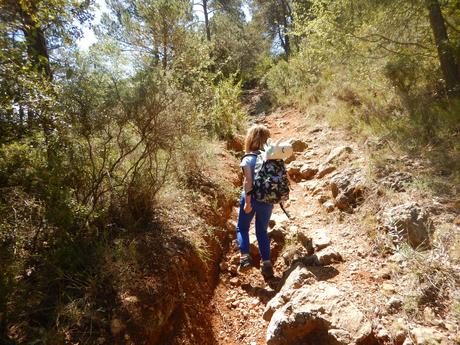 Cova i salt de l'Argany | Capafonts (Tarragona)