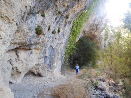 Cova i salt de l'Argany | Capafonts (Tarragona)