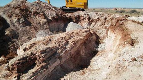 15 mejores cosas que hacer en Holbrook (AZ)