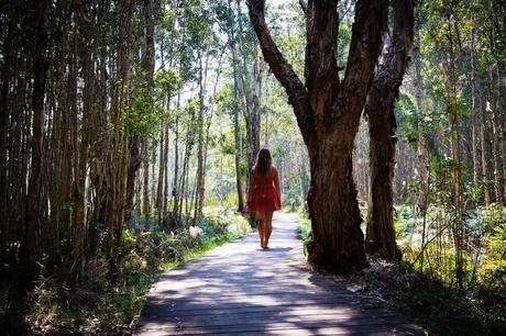 Sea Acres Rainforest Center