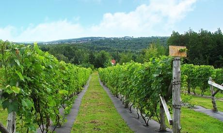 15 mejores cosas que hacer en Sherbrooke (Quebec, Canadá)