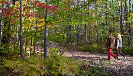 15 mejores cosas que hacer en Sherbrooke (Quebec, Canadá)
