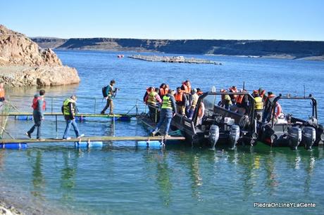 Embalse Piedra del Águila es declarada zona libre de enfermedades Embalse Piedra del Águila es declarada zona libre de enfermedades