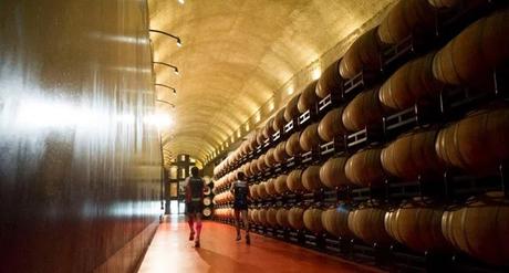 ¿SE PUEDE BEBER VINO Y PRACTICAR DEPORTE?