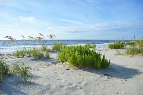 14 mejores playas de Georgia East Beach en la isla de St. Simons