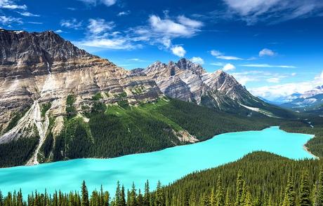 12 mejores lagos en Alberta Lago Peyto