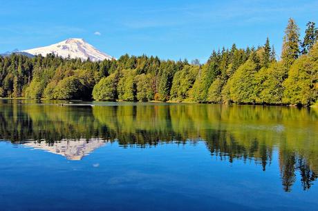 11 mejores lagos en Washington Mount Baker se refleja en Baker Lake en el monte. Bosque Nacional Baker-Snoqualmie