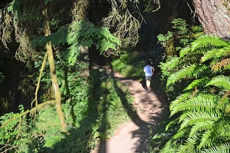 Senderismo para principiantes: introducción, equipamiento y otros elementos esenciales Trail running en Forest Park, Portland