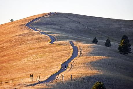 Senderismo para principiantes: introducción, equipamiento y otros elementos esenciales Colinas del norte de Missoula