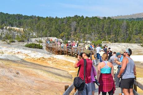 Senderismo para principiantes: introducción, equipamiento y otros elementos esenciales Sendero del paseo marítimo de Mammoth Hot Springs en verano, Parque Nacional de Yellowstone