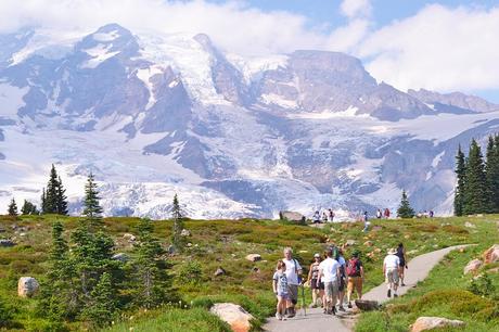 Senderismo para principiantes: introducción, equipamiento y otros elementos esenciales Skyline Trail, Parque Nacional Monte Rainier
