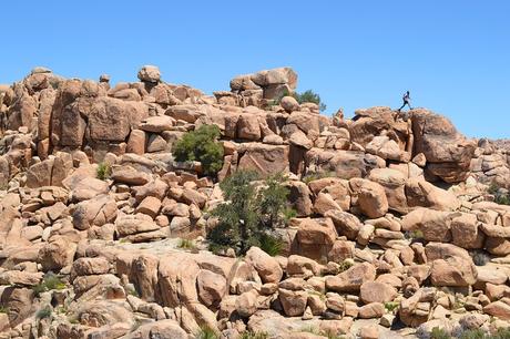 Senderismo para principiantes: introducción, equipamiento y otros elementos esenciales Senderismo en Hidden Valley, Parque Nacional Joshua Tree