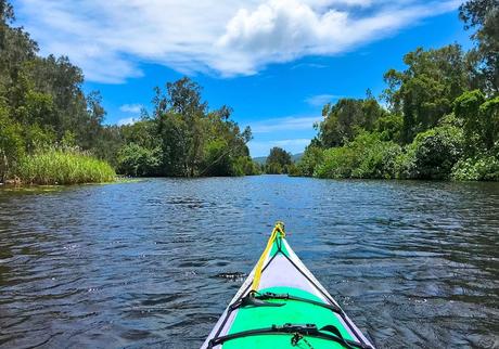 Kayak en el río Upper Noosa