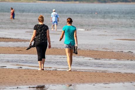Dar un relajante paseo por la playa de Parlee