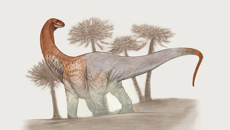Descubren nueva especie de dinosaurio gigante: Chucarosaurus diripienda
