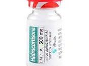 Hidrocortisona mejora tratamiento shock séptico?