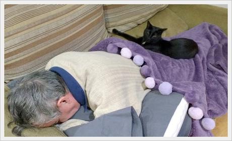 Edén en Gavet de la Conca, Lleida