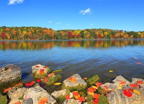 Salt Fork Lake en el otoño