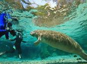 mejores manantiales Florida