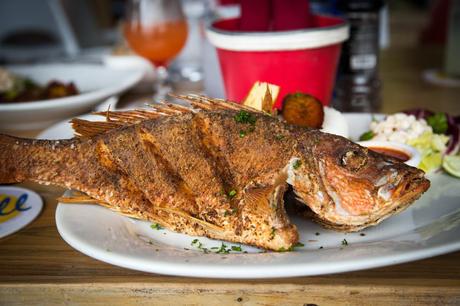 15 mejores cosas que hacer en Barranquilla (Colombia)