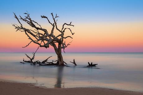 Playa Driftwood en la isla Jekyll