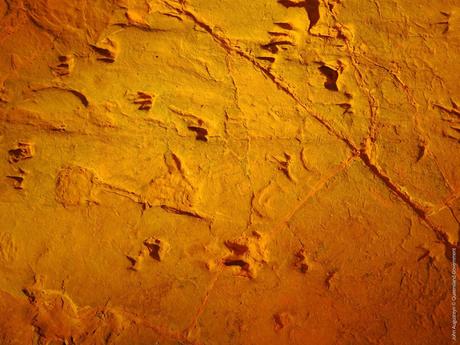 7 de los monumentos más famosos de Australia