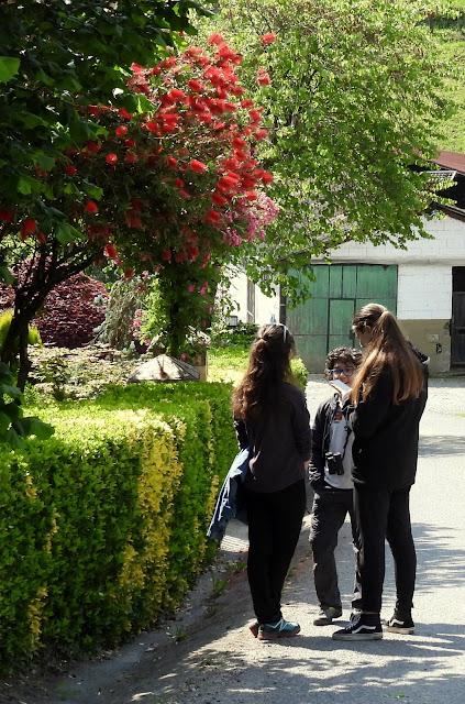 UN PASEO POR CARRANZA (VIZCAYA)