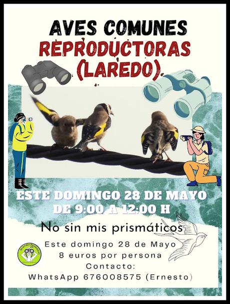 UN PASEO POR CARRANZA (VIZCAYA)