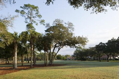 14 mejores cosas que hacer en Sarasota (FL)