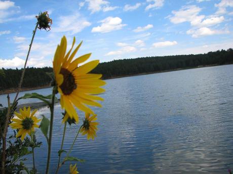 15 mejores lagos en Nuevo México