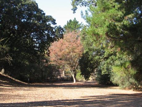 15 mejores cosas que hacer en Concord (CA) 15 mejores cosas que hacer en Concord (CA)