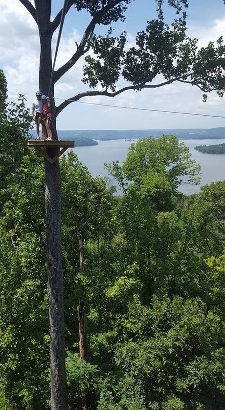 15 mejores cosas que hacer en Scottsboro (AL) 15 mejores cosas que hacer en Scottsboro (AL)