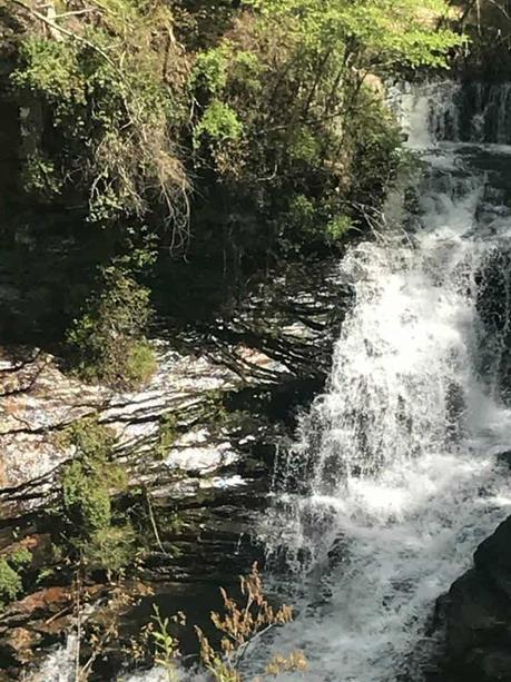 15 mejores cosas que hacer en Scottsboro (AL) 15 mejores cosas que hacer en Scottsboro (AL)