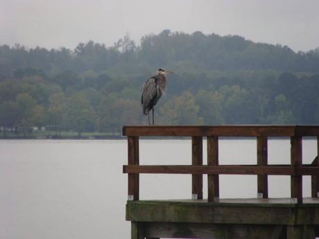 15 mejores cosas que hacer en Scottsboro (AL) 15 mejores cosas que hacer en Scottsboro (AL)