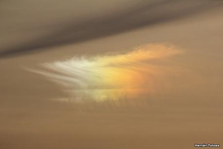 Gran Día Mundial de las Aves (5 de mayo de 2023)