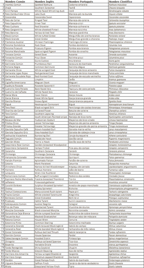 Gran Día Mundial de las Aves (5 de mayo de 2023)