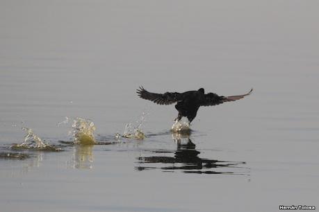 Gran Día Mundial de las Aves (5 de mayo de 2023)