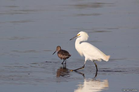 Gran Día Mundial de las Aves (5 de mayo de 2023)